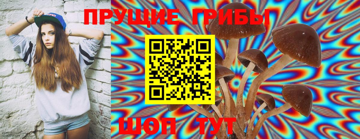 Семилуки  Галлюциногенные грибы Magic Shrooms  наркотики  Вход с VPN 